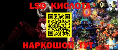 прущие крисы Новокубанск