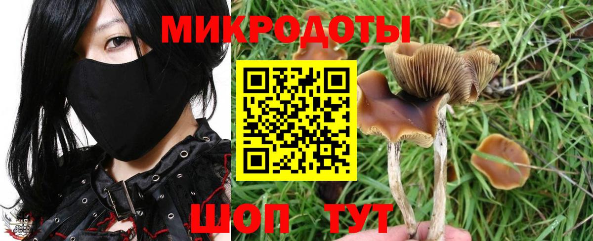 Чернушка  наркота  Псилоцибиновые грибы GOLDEN TEACHER  Вход с VPN  Псилоцибиновые грибы мухоморы 